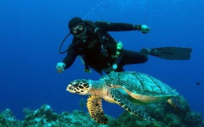 Maui Diving Trips