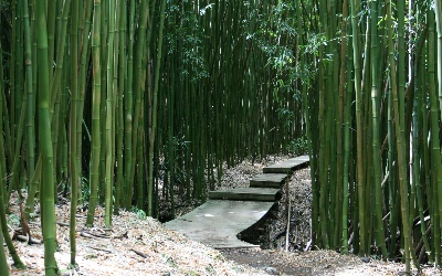 Hawaii Land Tours